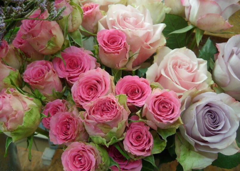 插花教程 | 插花構(gòu)圖需要注意的問題