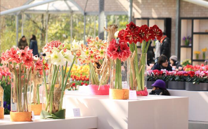 南寧花藝學(xué)校：花店處理花材的7種錯誤