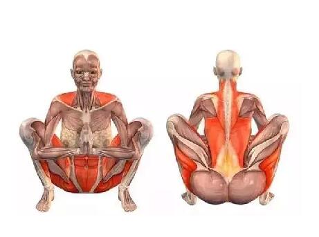 瑜伽動作小課堂！