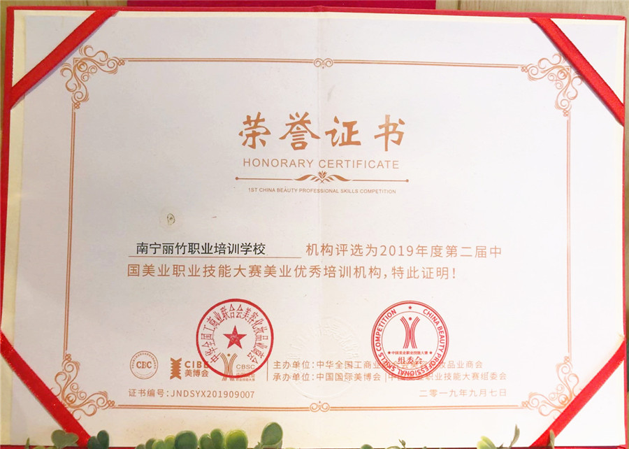 美業(yè)優(yōu) 秀培訓(xùn)機(jī)構(gòu) | 2019年度第二屆中國美業(yè)職業(yè)技能大賽