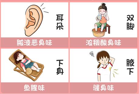 體味重的部位和緩解方法，廣西美容美體專業(yè)介紹